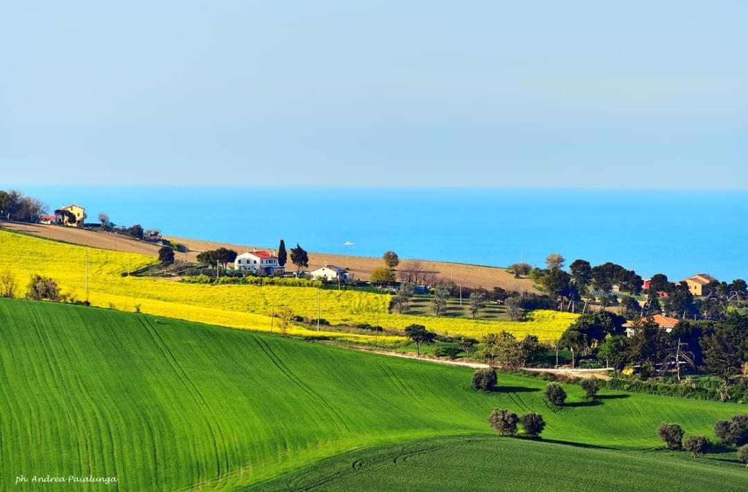 La Casa Di Vandina * Senigália